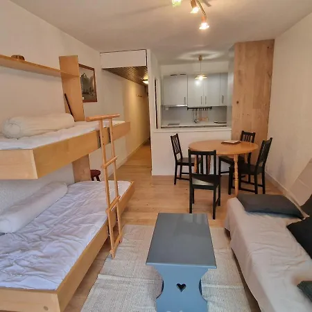Confortable Aux Deux Alpes, Accès Facile Aux Pistes - Fr-1-516-193 Appartement
