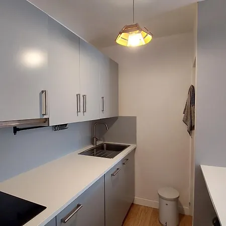 Confortable Aux Deux Alpes, Accès Facile Aux Pistes - Fr-1-516-193 Les Deux Alpes