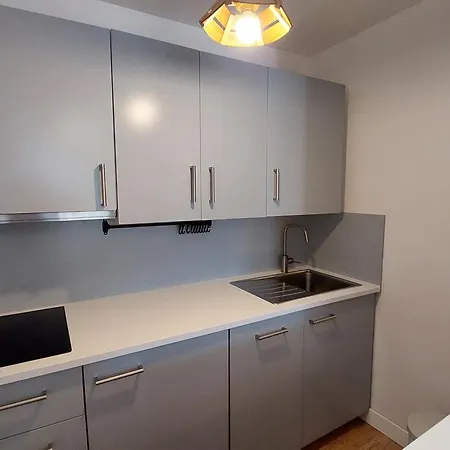 Confortable Aux Deux Alpes, Accès Facile Aux Pistes - Fr-1-516-193 Appartement Les Deux Alpes